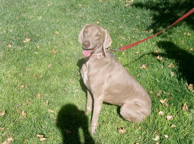 Roxy sitting pretty